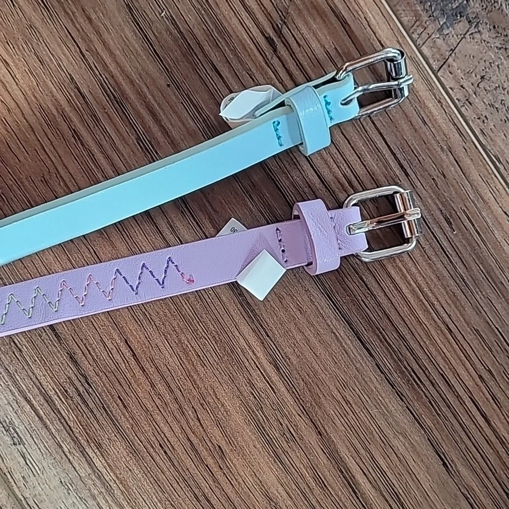 Pastel Blue and Purple Belt Set with Silver Buckles, Gradient Thread